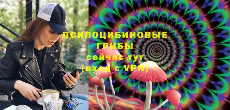 OMG ссылки  Рыбинск  Галлюциногенные грибы Psilocybe 